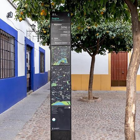Apartmán Bhost - Regina IV Córdoba Exteriér fotografie