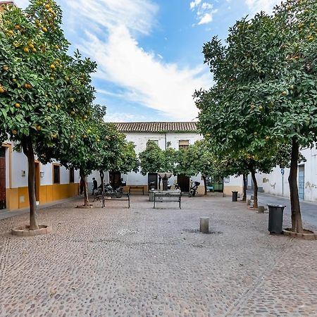 Apartmán Bhost - Regina IV Córdoba Exteriér fotografie