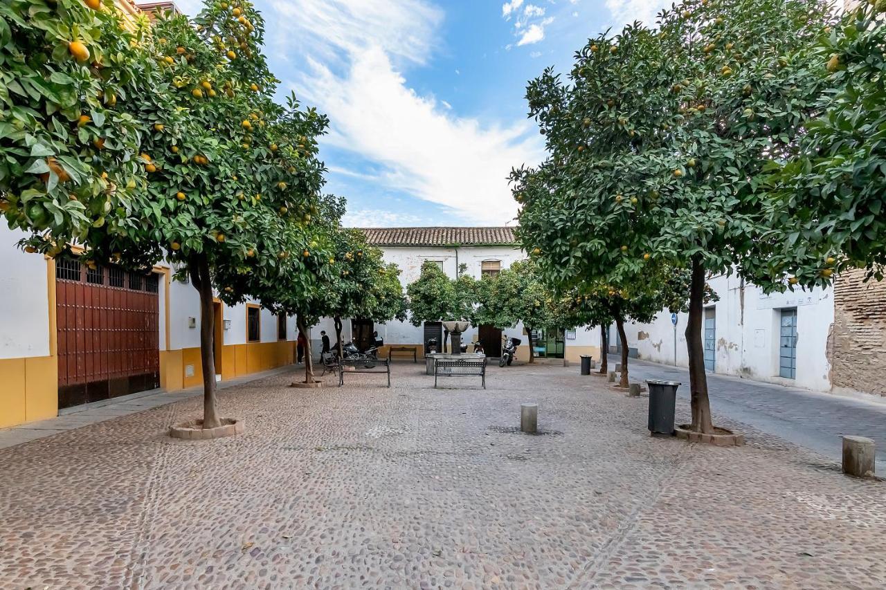 Apartmán Bhost - Regina IV Córdoba Exteriér fotografie